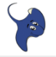 Stingray Class Icon